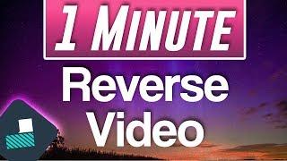 Filmora Tutorial | How to Reverse Video Clip