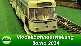 Ausstellung Borna 2024 (277)