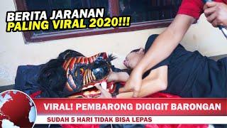 Pembarong Digigit Barongannya Sendiri !! [ Berita viral 2020 ]