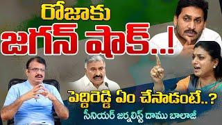 Has Jagan Not Given MLA Ticket To RK Roja..? | Peddi Reddy | Red Tv