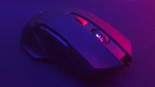 Raigor II WG10 For PvP - First Impressions! (The WORST Mouse I've Ever Used lol)