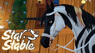МАГИЧЕСКИЙ АРАБ  Покупка и обзор лошади в Star Stable Online