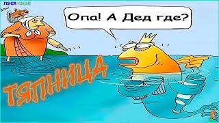 Fisher Online  /  ТЯПница  /  Общение