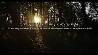 Sherif Mostafa Surah An-Najm heart melting voice️ Soothing Quran Recitation النجم‎ سُورَة