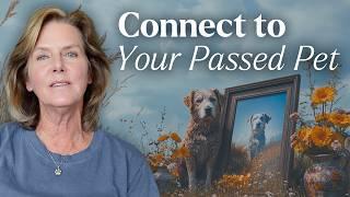 A Guide to Connecting With Your Passed Pet in Spirit | Tami Hendrix