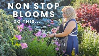 Keep Your Garden Flowering. How to Deadhead Your Flowers for More Blooms!