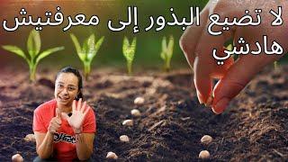 6 اشياء يجب معرفتها للزراعة من البذور/ 6 choses à savoir en semant des graines