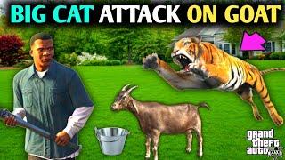 Gta 5 : LION attack On MICHEAl GOAT PET  in Micheal House At NOON OMG #gta #gta5 #new