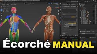 Ecorche - Muscle Anatomy Visualized - MANUAL