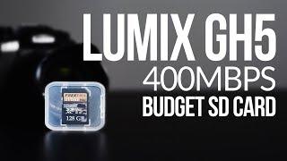 Best Budget SD Card for 400mbps on the GH5 - FreeTail Evoke Pro