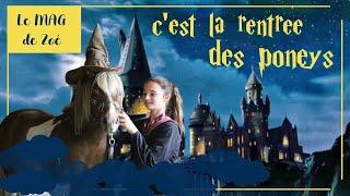 Le MAG de Zoé : Les poneys rentrent à Poudlard ?