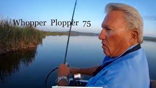 It's a great lure-Whopper Plopper 75