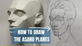 Drawing using the Loomis & Asaro method