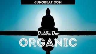 junoBeat Organic (Buddha Bar) FREE DOWNLOAD