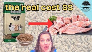 What it REALLY  Costs to Raise Meat Rabbits | Plus How Much Meat YOU Can Expect