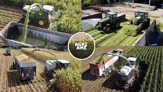 VIDEO MIX | Trinciatura mais & lavorazioni varie | Fine luglio - inizio agosto 2022 | Agri Ame