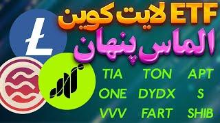 فوریبمب ETF لایت کوین3 الماس پنهان امسالهارمونی | شیبا