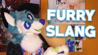Furry Vocabulary, Slang and Lingo!