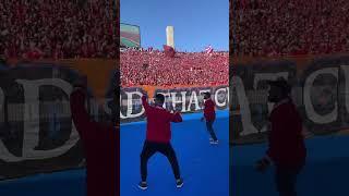 Ultras Wydad Casablanca Morocco  #football #shorts #ultras