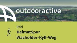 Wanderung in der Eifel: HeimatSpur Wacholder-Kyll-Weg