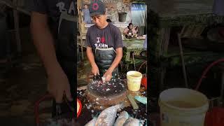 Rare Fish Cuttinb #fishcuting #fish #fishmarket #streetfood #food #asmr #shorts #seafood