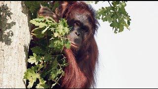 Zoo Rostock - Der größte Zoo an der deutschen Ostseeküste