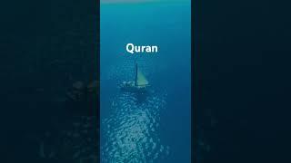 #explore #account #youtube ▶️ #viralvideo #quran #onlinequran #quotes #qurantranslation313