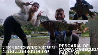 muita carpa mesmo nessa pescaria #pesca #pescaria #carpacabecuda #carpaespelho