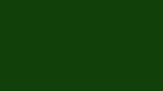 10 Hour Dark Green Screen