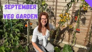 September Vegetable Garden Tour - Allotment Gardening For Beginners UK