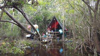 5 HARI 3 MALAM DI HUTAN RAWA, MEMBUAT SHELTER, BERBURU IKAN & PERANGKAP SERTA MONSTER TERKENA RAWAI.