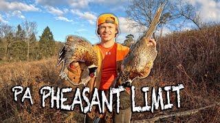 Double Limit PA Pheasant Hunt