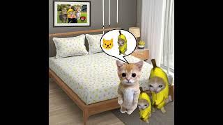 Baby Banana Cat ️ #catmemes #cat #shorts #fyp #bananacat