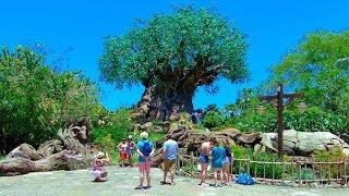 Disney's Animal Kingdom 2019, Orlando, Florida | Full Complete Walkthrough Tour