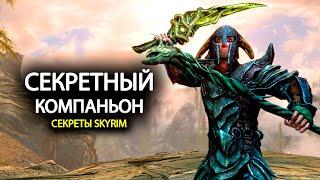 Skyrim - Секреты Которые Вы Упускали в Скайриме! Секретный компаньон ( Секреты 342 )