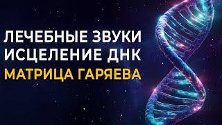 Самая Сильная Исцеляющая Матрица Гаряева ДНК: Выздоровление от Всех Болезней и укрепление иммунитета