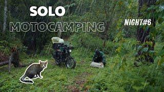 Solo Moto Camping/ Camping With Cat/ Camping In The Rain Eps.6