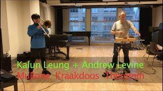 05/30/2019 Andrew Levine - Theremin & Cracklebox + Kalun Leung - MuBone