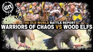 Warriors of Chaos vs Wood Elf Realms - The Old World (Battle Report)