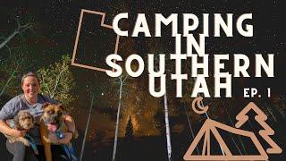 Utah travel guide, exploring Southern Utah with Dogs (A Local Guide) Ep.1