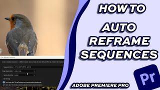 How to Auto Reframe your Videos for Multiple Social Platforms in Adobe Premiere Pro