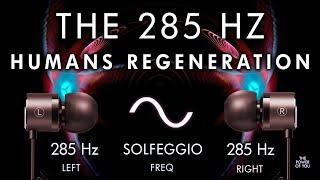 Humans Regeneration -  285hz Brain Hemisphere Synchronization