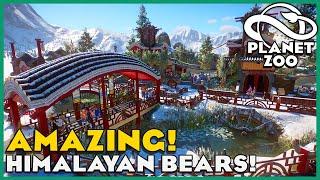 Himalayan Brown Bears! Planet Zoo: Zoo Spotlight 17