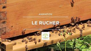 Le rucher