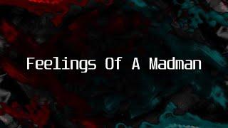 The Melodier - Feelings Of A Madman