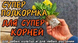 САМОЕ ЛУЧШЕЕ УДОБРЕНИЕ ДЛЯ КОРНЕЙ.️Супер корень за 3-4 дня️ ДЛЯ ЛЮБЫХ КУЛЬТУР, НА ЛЮБЫЕ СЛУЧАИ.