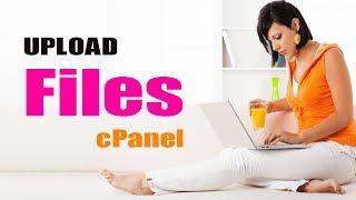 Quick Guide: How to Upload Files in cPanel via File Manager