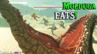 Molduga EATS Bokoblins on a Saturday in Zelda Breath of the Wild