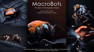 Pro Macro photography preset download | Premium lightroom presets free download