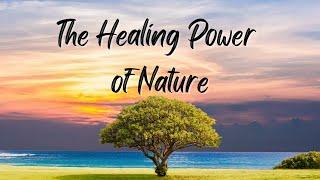 "The Healing Power of Nature: How Nature Therapy Boosts Mental Health"